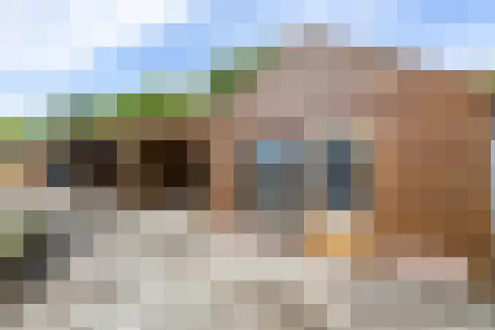 Looweg 2 Gasselte thumbnail 44