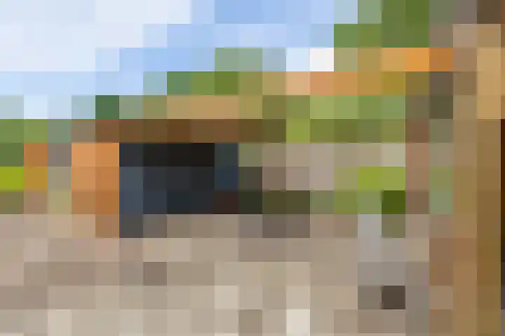 Looweg 2 Gasselte thumbnail 47