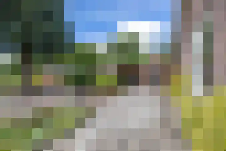 Looweg 2 Gasselte thumbnail 5