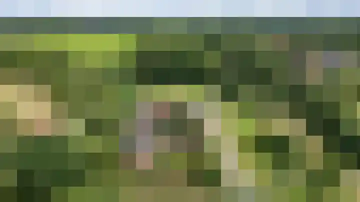 Looweg 2 Gasselte thumbnail 54