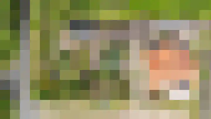 Looweg 2 Gasselte thumbnail 55