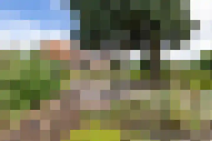Looweg 2 Gasselte thumbnail 8