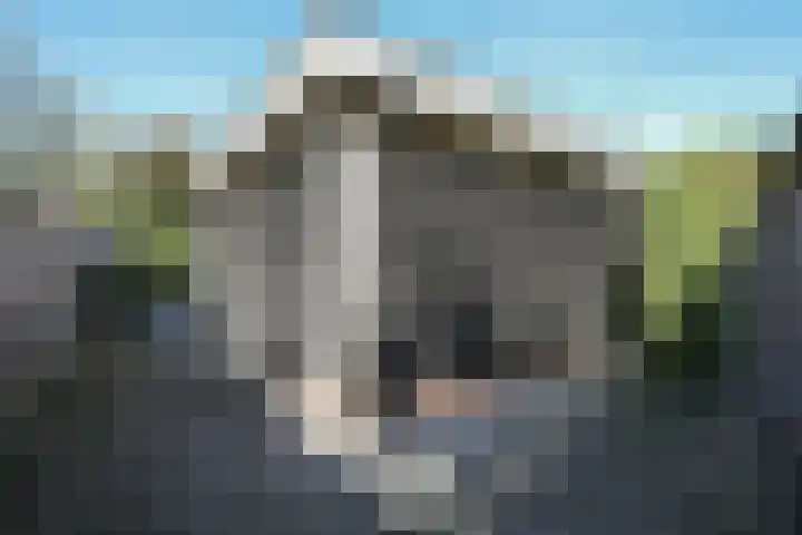 Looweg 36 Wierden thumbnail 104
