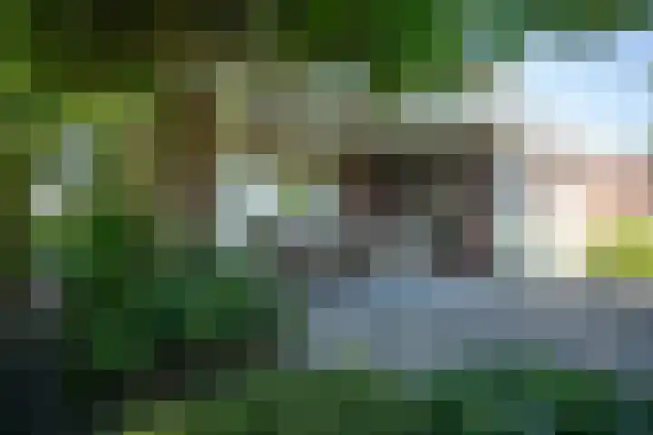 Looweg 36 Wierden thumbnail 12