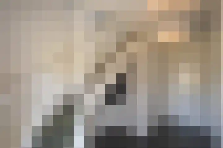 Looweg 36 Wierden thumbnail 20