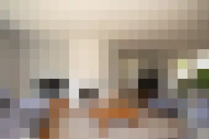 Looweg 36 Wierden thumbnail 38