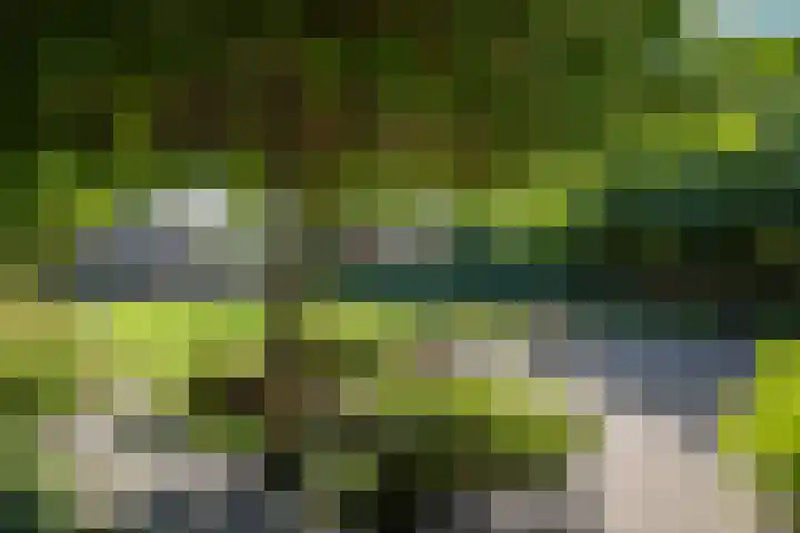 Looweg 36 Wierden thumbnail 66