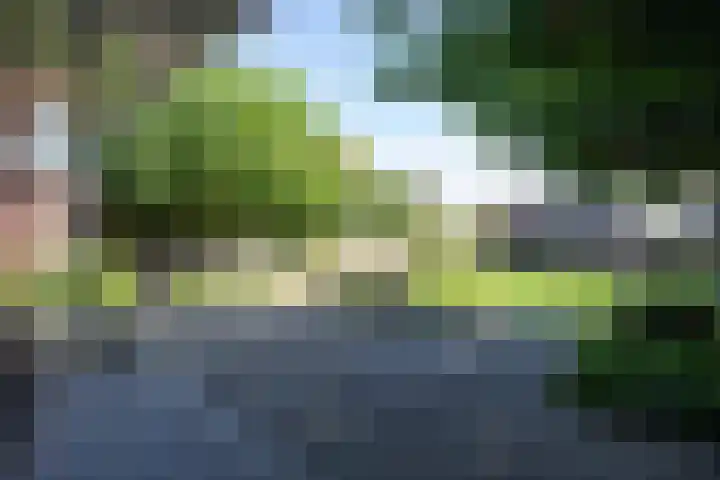 Looweg 36 Wierden thumbnail 67
