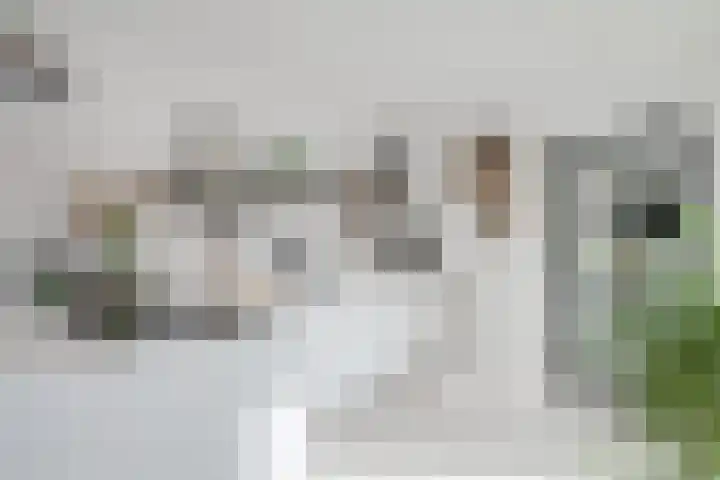Looweg 4 Harreveld thumbnail 17