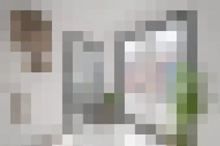 Looweg 4 Harreveld thumbnail 22