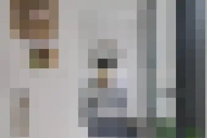 Looweg 4 Harreveld thumbnail 23
