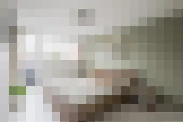 Looweg 4 Harreveld thumbnail 25