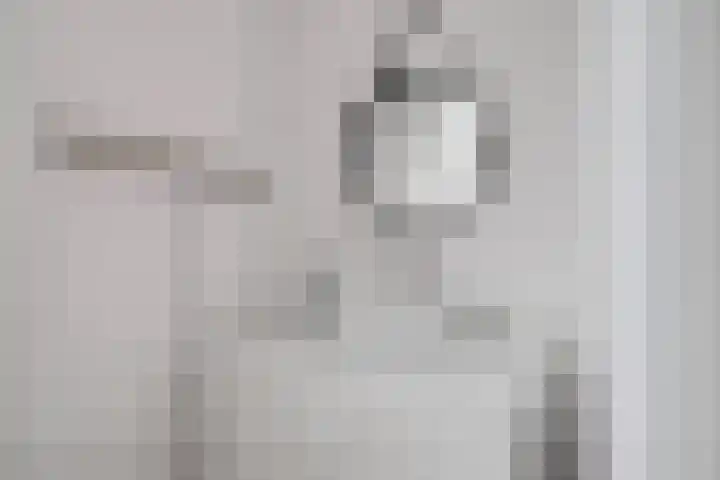Looweg 4 Harreveld thumbnail 31
