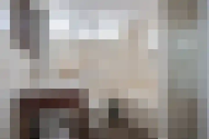 Looweg 4 Harreveld thumbnail 33