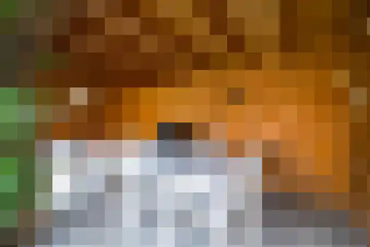Looweg 4 Harreveld thumbnail 47