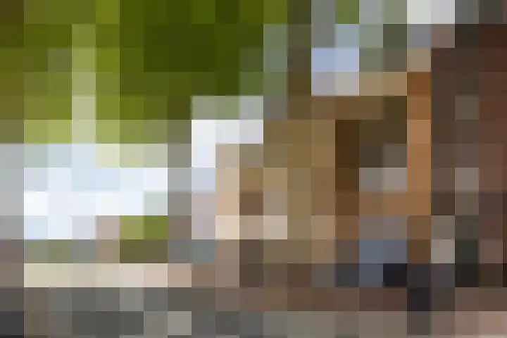 Looydijk 130 A De Bilt thumbnail 37