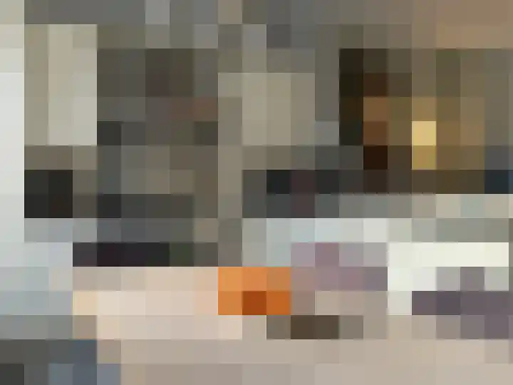 Looydijk 5 De Bilt thumbnail 14