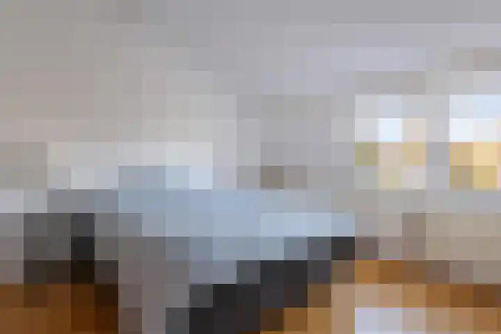 Looydijk 5 De Bilt thumbnail 18