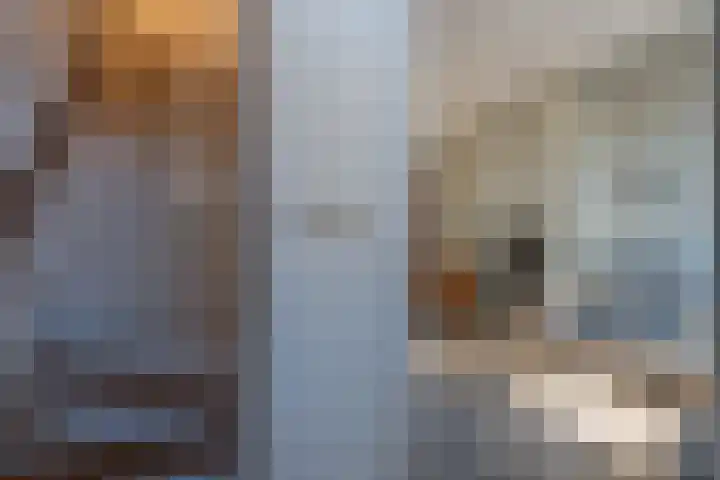Looydijk 5 De Bilt thumbnail 8