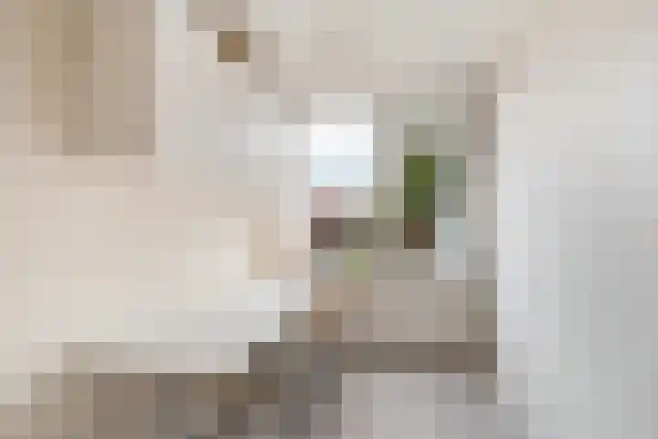 Looydijk 55 De Bilt thumbnail 20