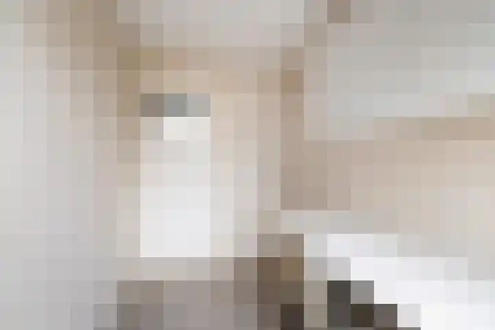 Looydijk 55 De Bilt thumbnail 21
