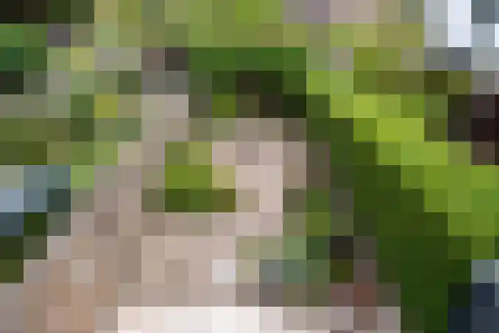 Looydijk 55 De Bilt thumbnail 26