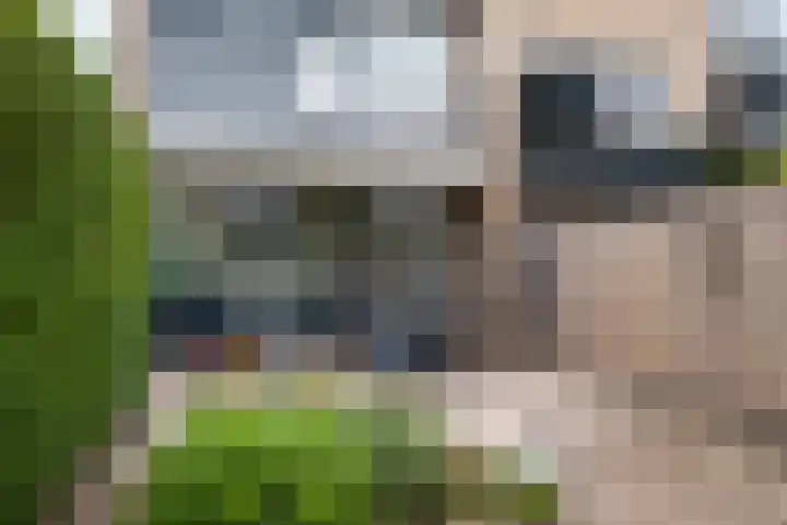 Looydijk 55 De Bilt thumbnail 38