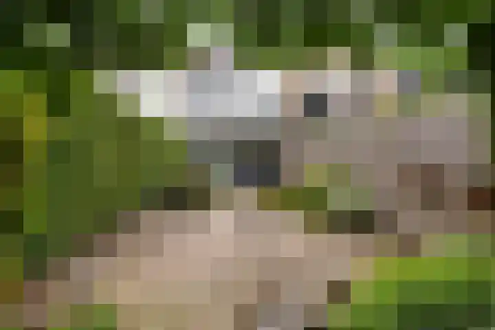 Looydijk 55 De Bilt thumbnail 39