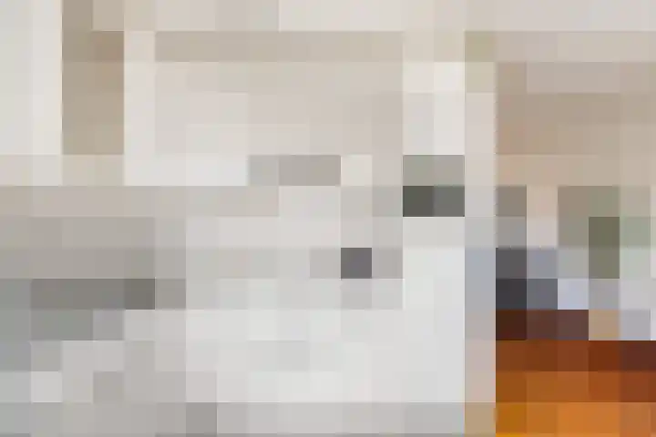 Looydijk 55 De Bilt thumbnail 4