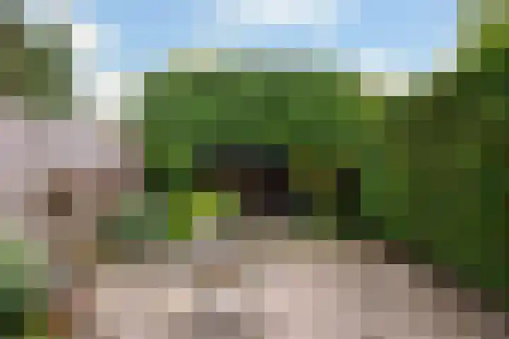 Looydijk 55 De Bilt thumbnail 41