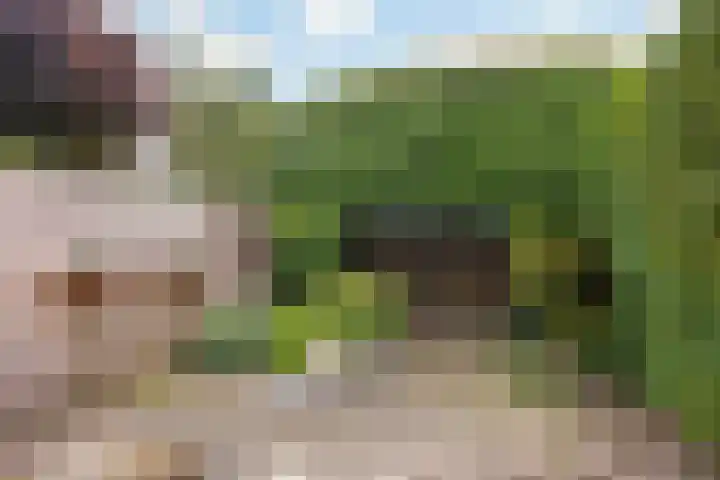 Looydijk 55 De Bilt thumbnail 42