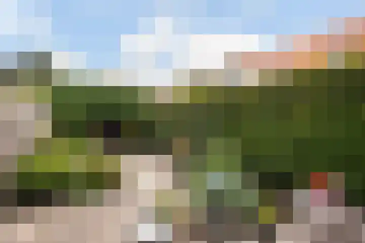 Looydijk 55 De Bilt thumbnail 43