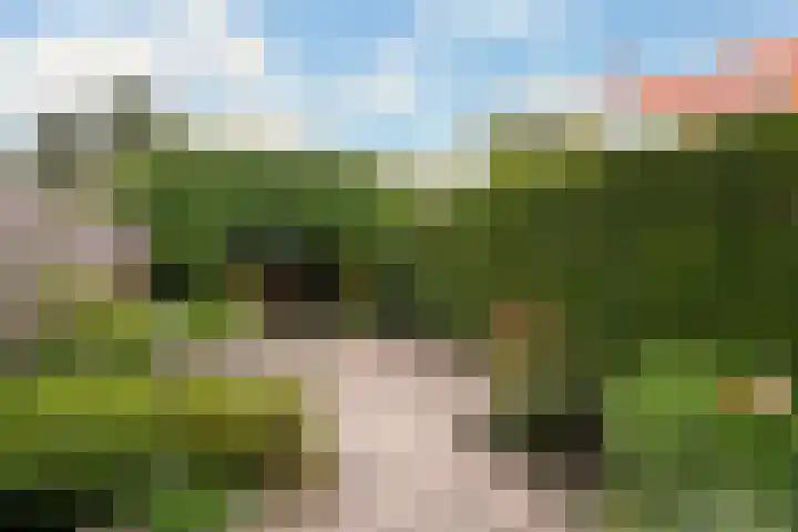 Looydijk 55 De Bilt thumbnail 5