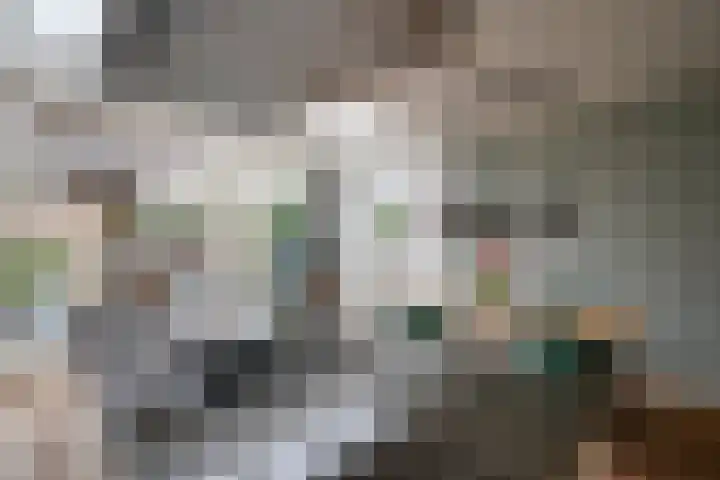 Looydijk 72 De Bilt thumbnail 13