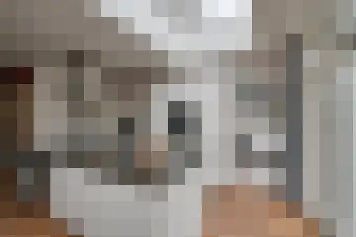 Looydijk 72 De Bilt thumbnail 15