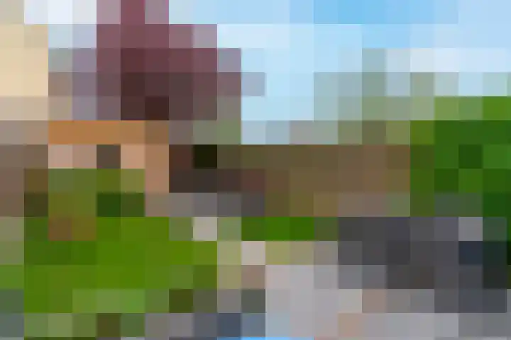 Looydijk 72 De Bilt thumbnail 17
