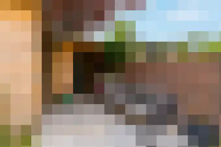 Looydijk 72 De Bilt thumbnail 19