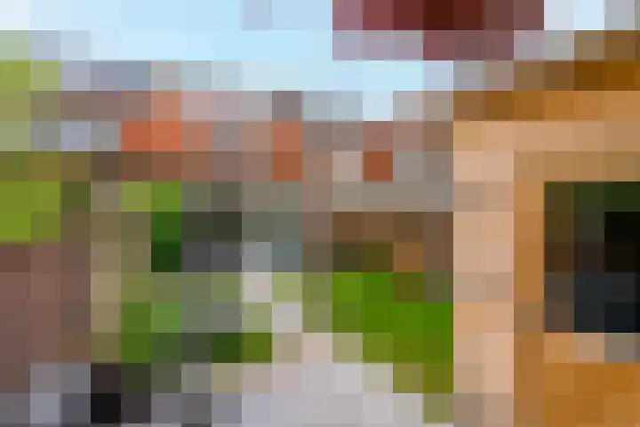 Looydijk 72 De Bilt thumbnail 20