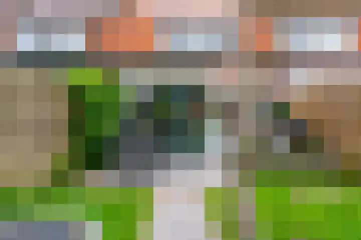 Looydijk 72 De Bilt thumbnail 21