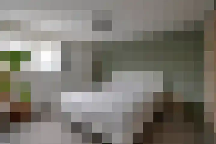 Looydijk 72 De Bilt thumbnail 23