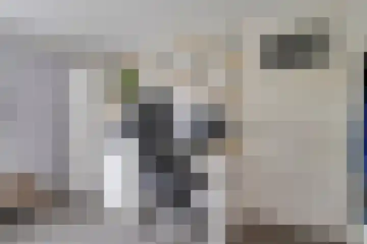 Looydijk 72 De Bilt thumbnail 27