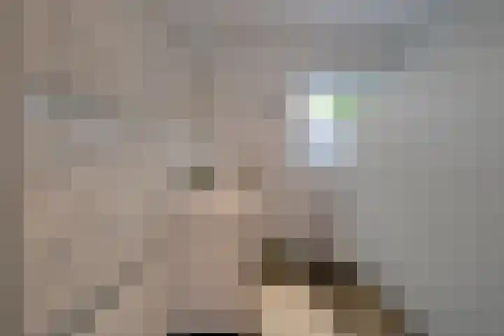 Looydijk 72 De Bilt thumbnail 29