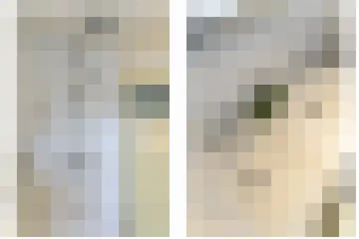 Looydijk 72 De Bilt thumbnail 33