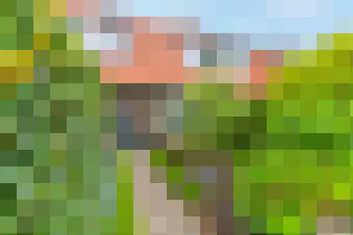 Looydijk 72 De Bilt thumbnail 38