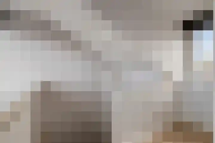 Looydijk 72 De Bilt thumbnail 41