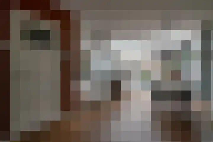 Looydijk 72 De Bilt thumbnail 9