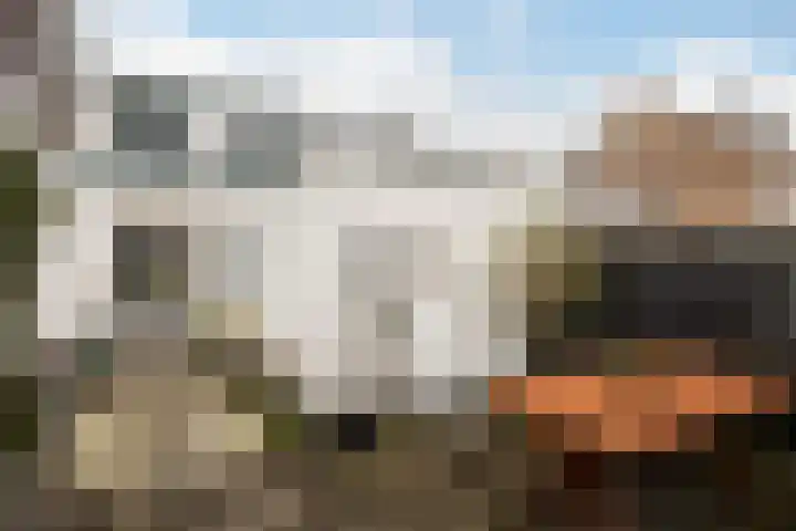 Looydijk 83 De Bilt thumbnail 16