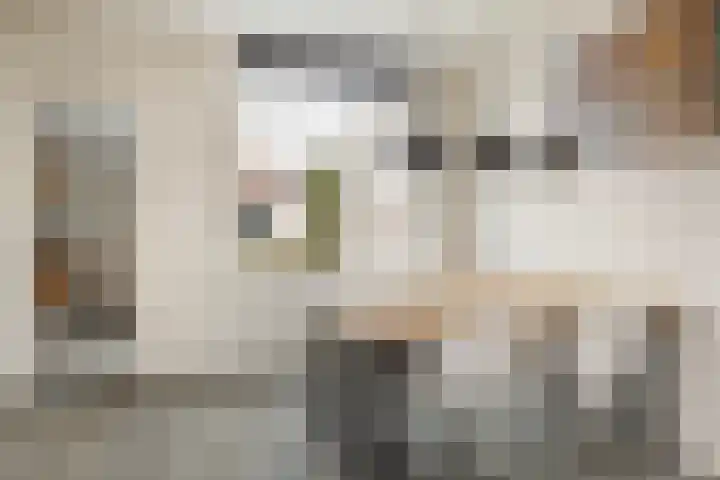 Looydijk 83 De Bilt thumbnail 8
