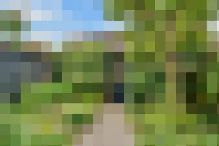 Looydijk 93 De Bilt thumbnail 32