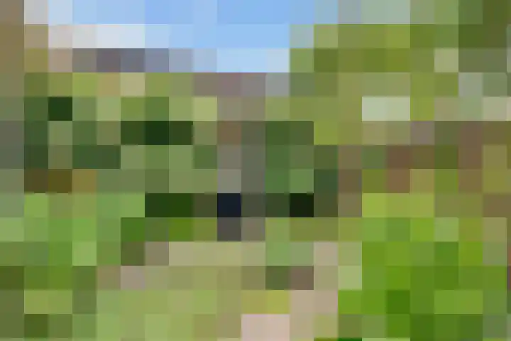 Looydijk 93 De Bilt thumbnail 33